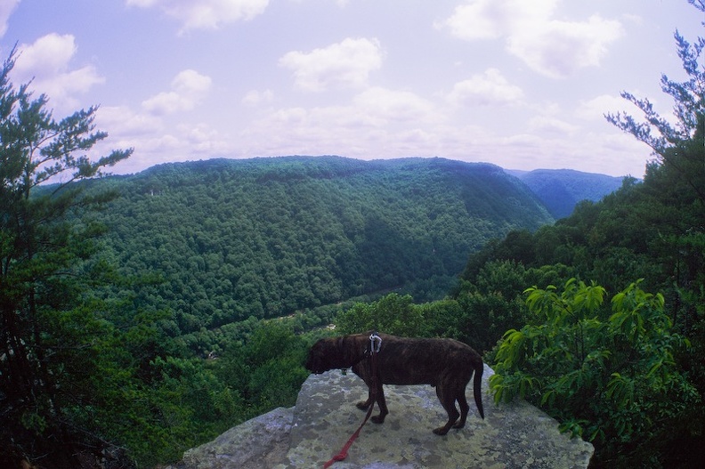 New River Gorge 9.jpg